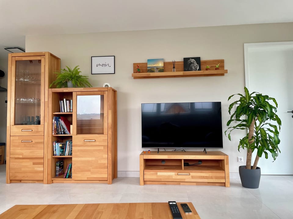 TV Wand