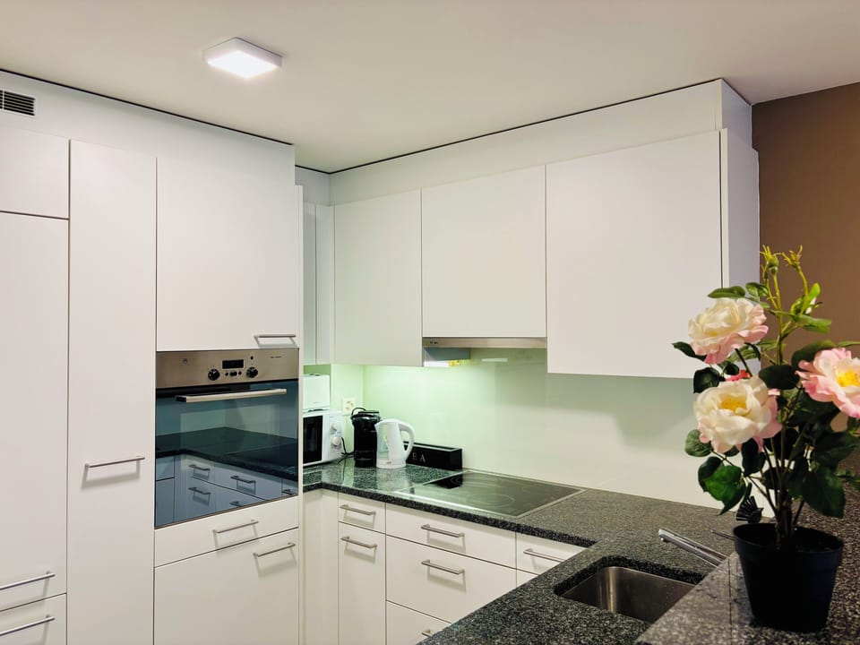 Classic Apartment, Courtyard View | Private kitchen | Full-size fridge, microwave, oven, stovetop