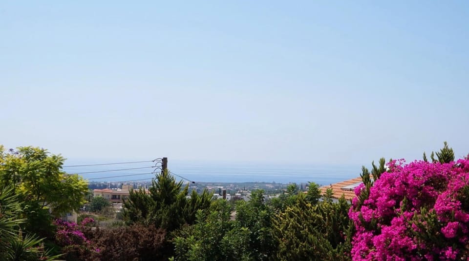 View upstairs above trees, sea is 2 miles