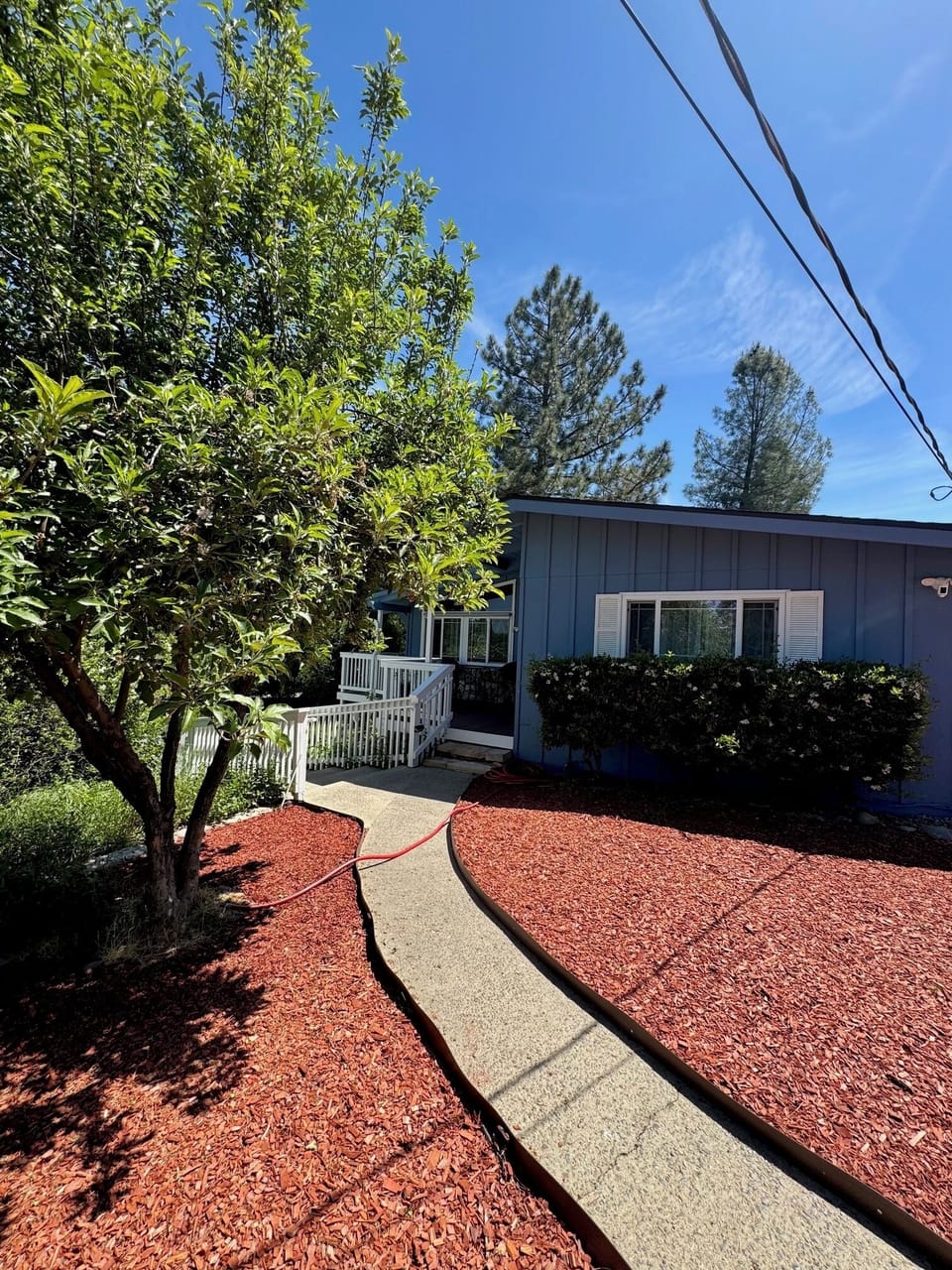 OTR with a beautiful apple tree.  