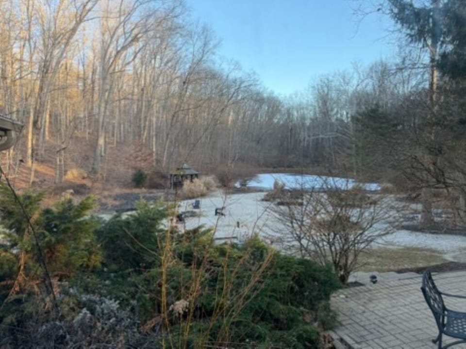 View of a frozen pond bordered by leafless trees and shrubs, with a gazebo and paved patio seating area.