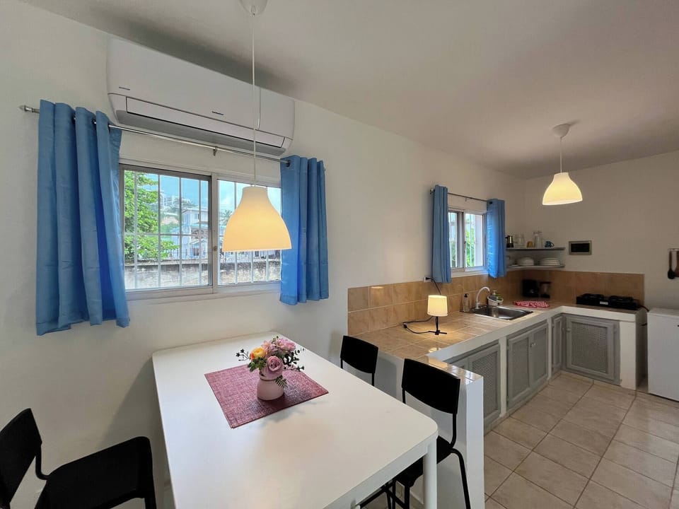 Apartment, 1 Bedroom, Balcony, City View | Private kitchen