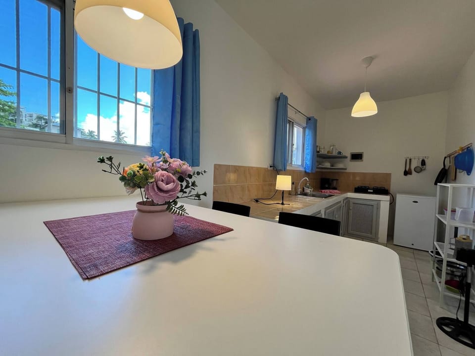 Apartment, 1 Bedroom, Balcony, City View | Private kitchen