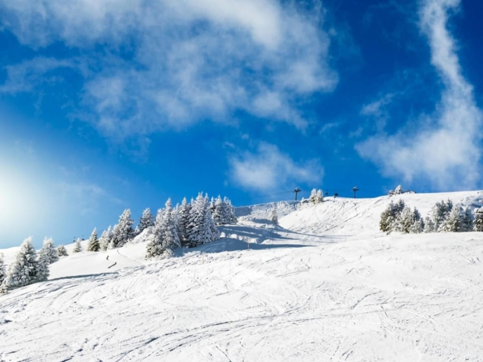 Region [winter] (>5 km)