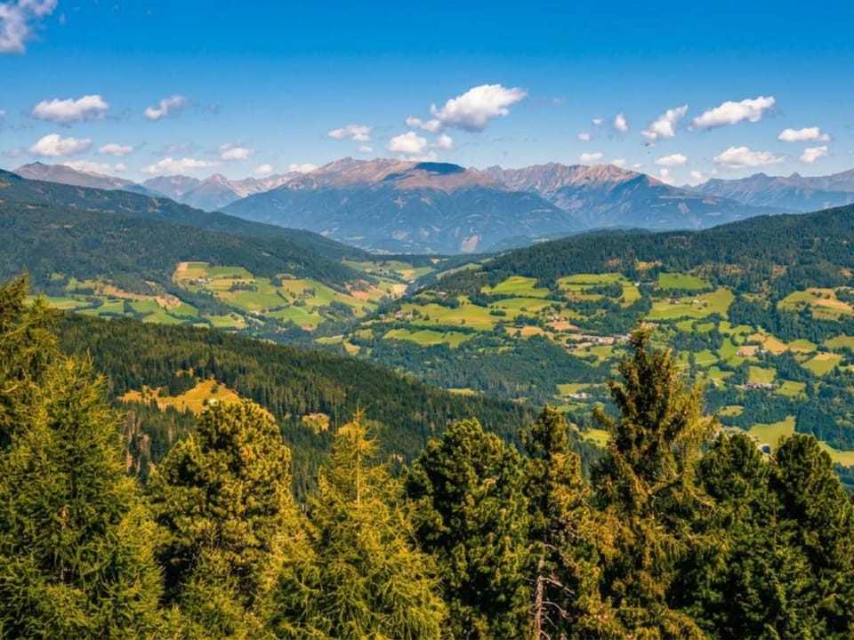 Region [summer] (>5 km)