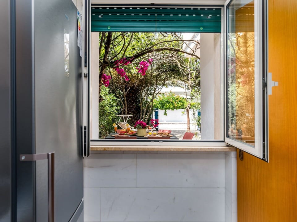 Glass, Houseplant, Wood Stain, Flowerpot, Daylighting, Aluminium