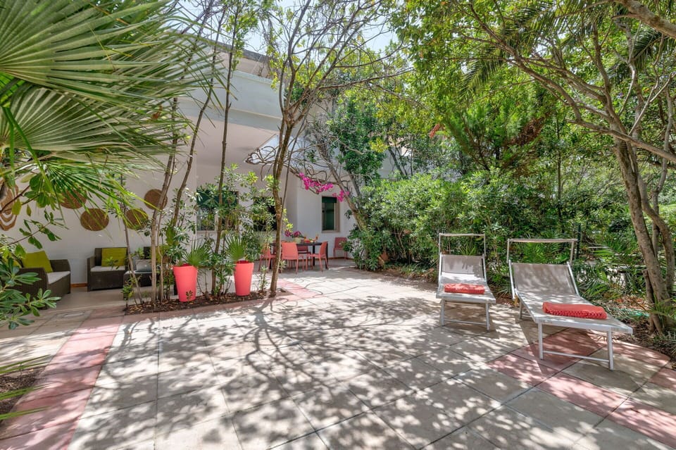 Pink, Flowerpot, Garden, Shade, Houseplant, Hacienda, Chair, Yard, Backyard, Courtyard