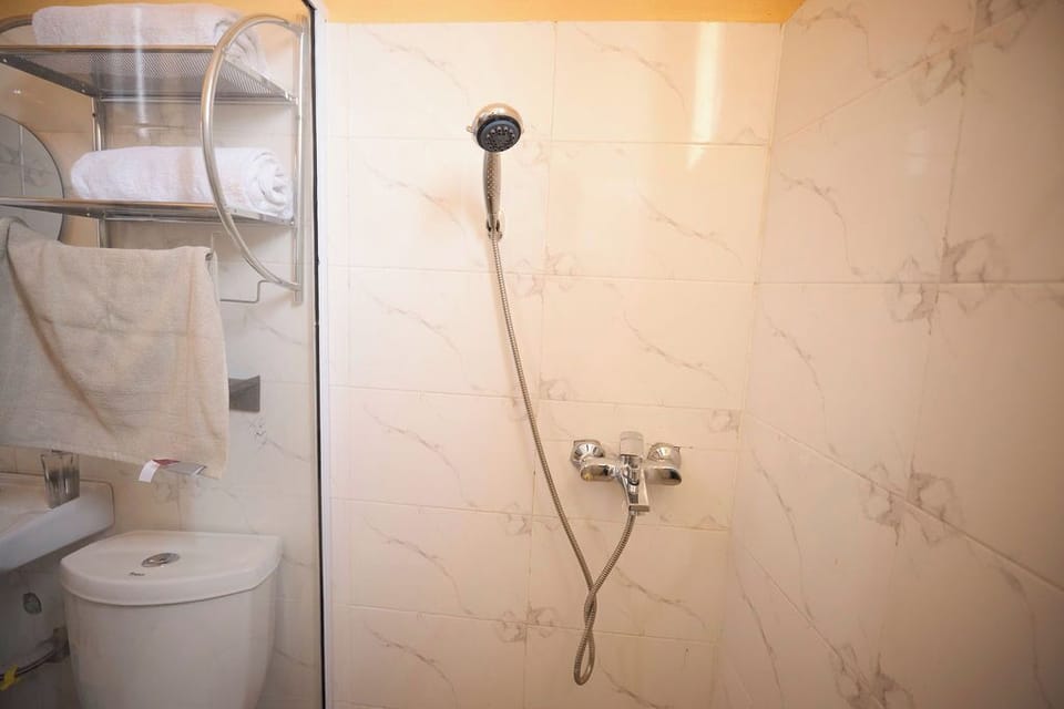 Shower, towels, soap, toilet paper