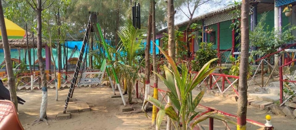 Outdoor wedding area