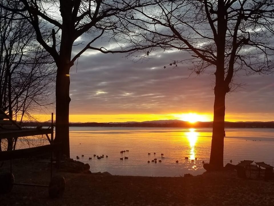 It's cold outside but always worth a morning closeup with the rising sun.