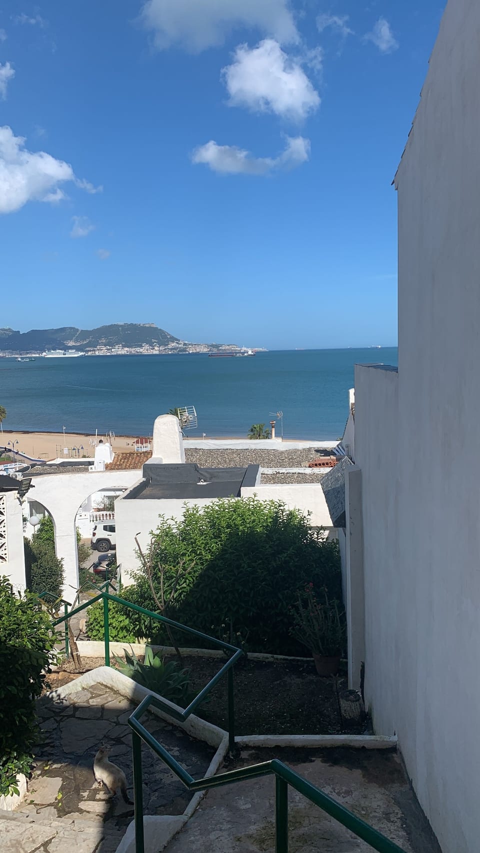 View from property
