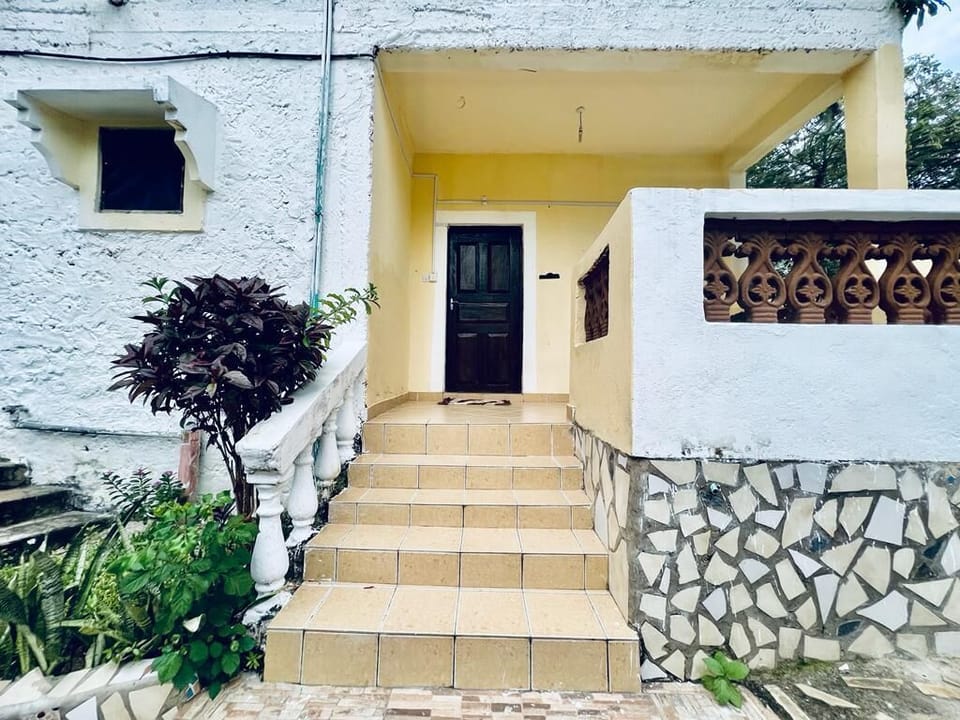 Image 12