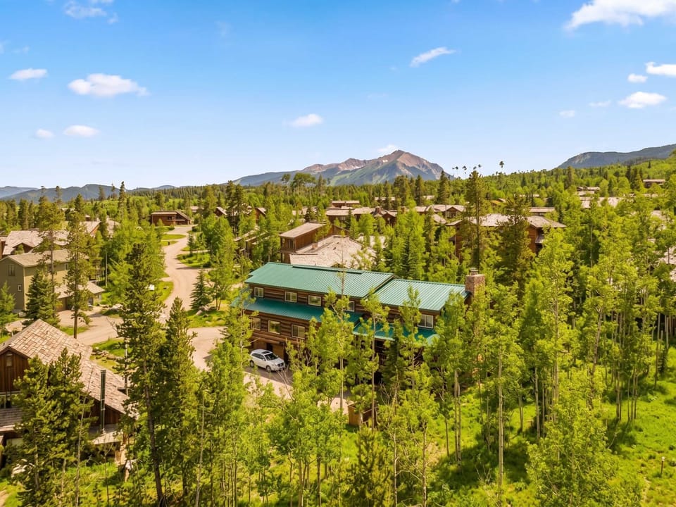 Aerial view of the cabin