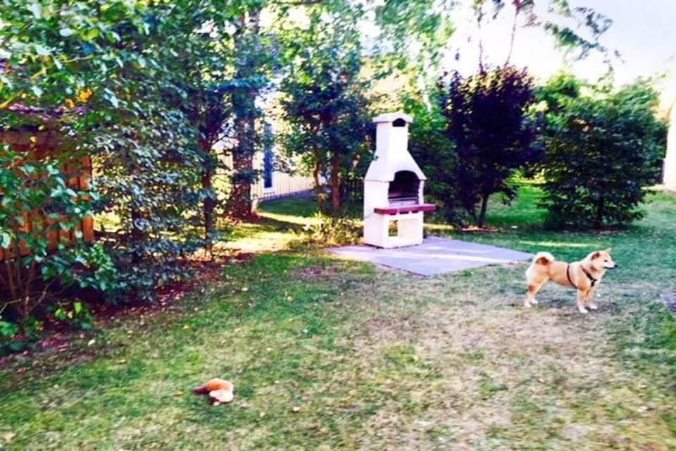 Garden [summer]