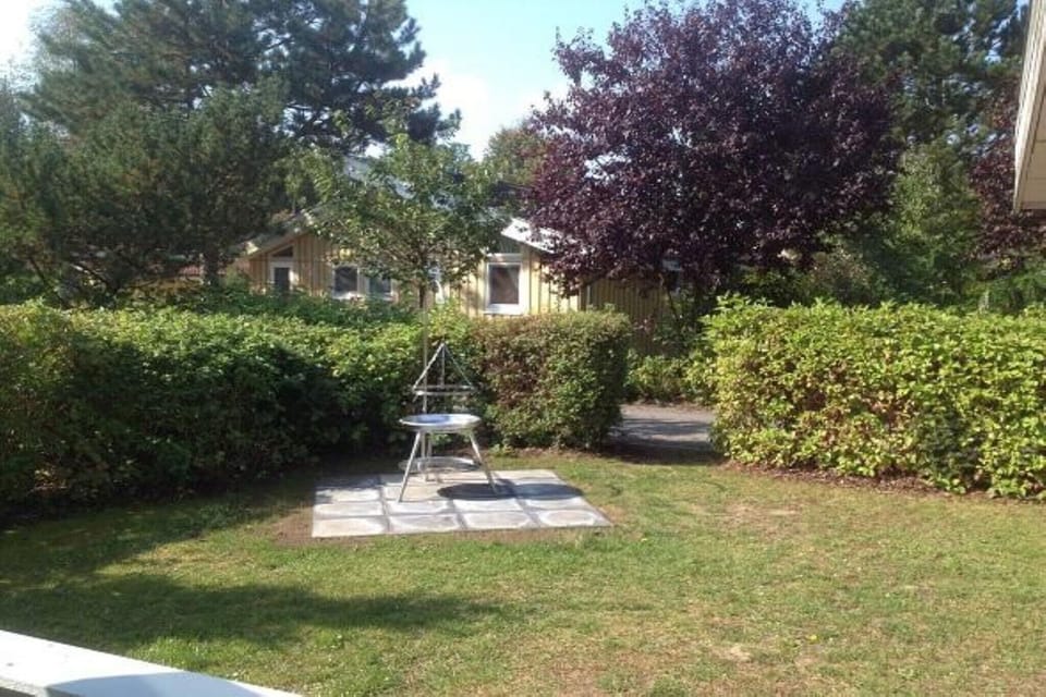 Garden [summer]