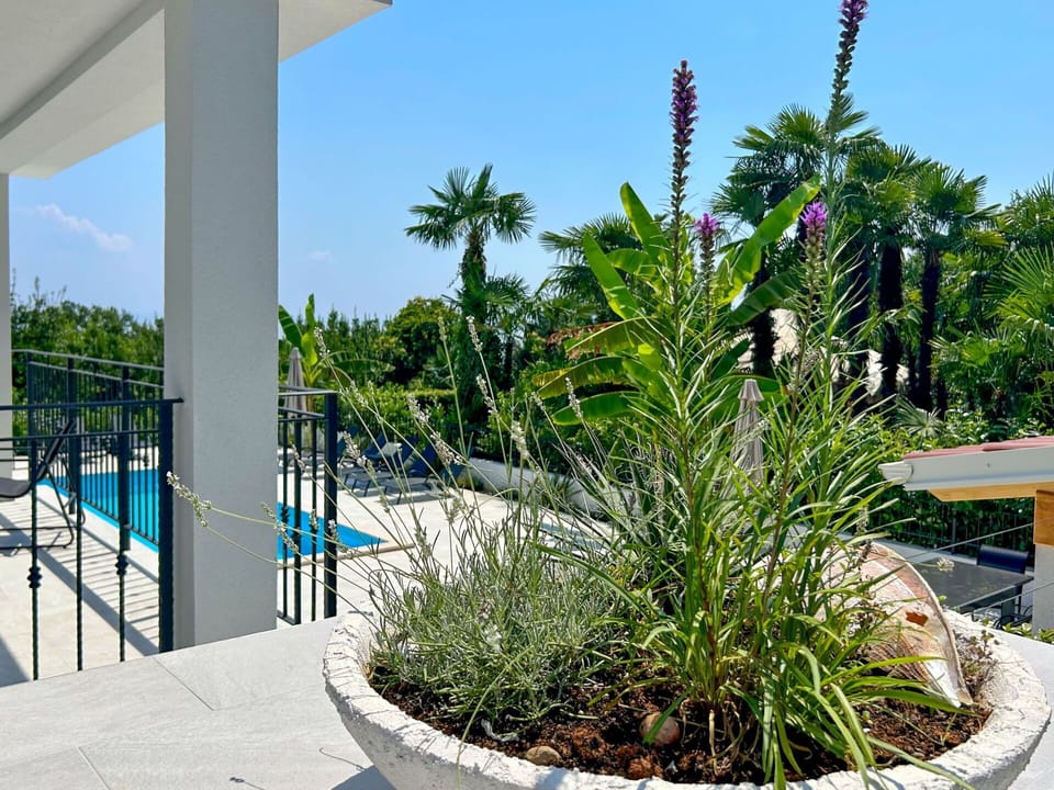 Garden, Shade, Landscaping, Eco Hotel, Outdoor Furniture, Houseplant