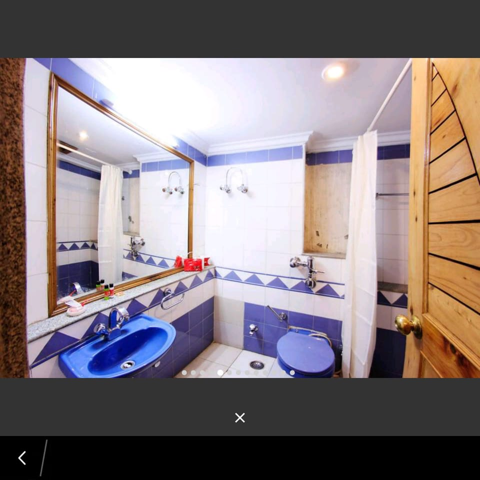 Deluxe Double Room | Bathroom | Shower, free toiletries, hair dryer, towels