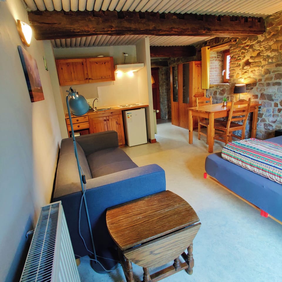 Basic Studio, Patio, Garden View | WiFi (free), bed sheets