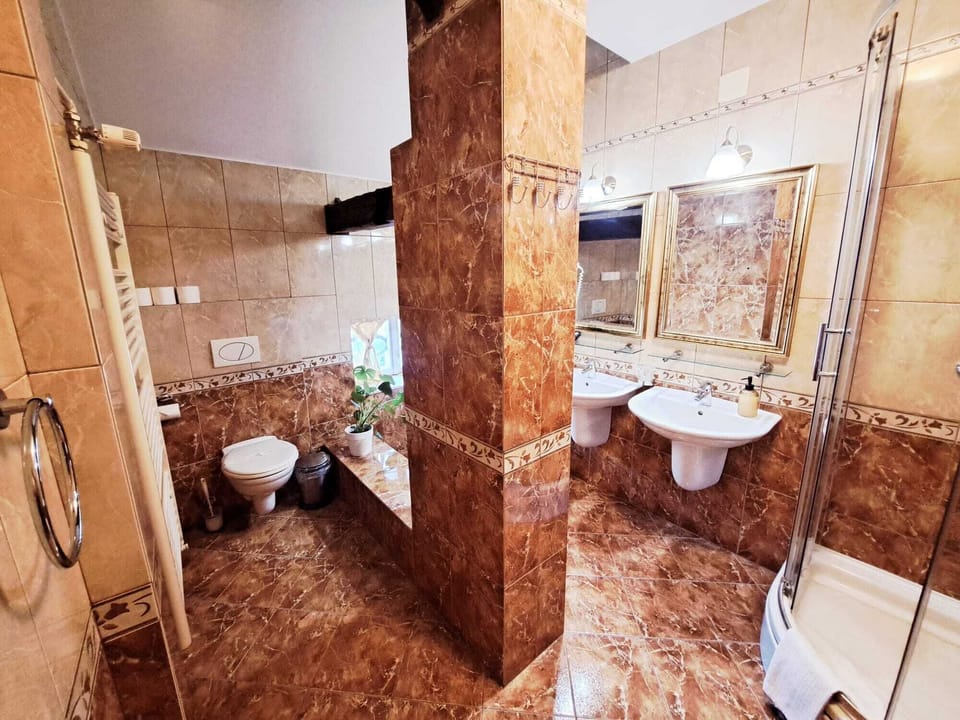Comfort Double Room | Bathroom | Soap, shampoo, toilet paper