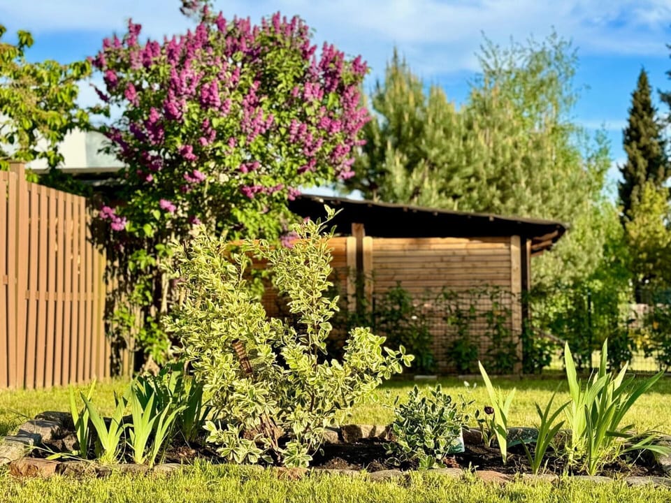 House | Garden