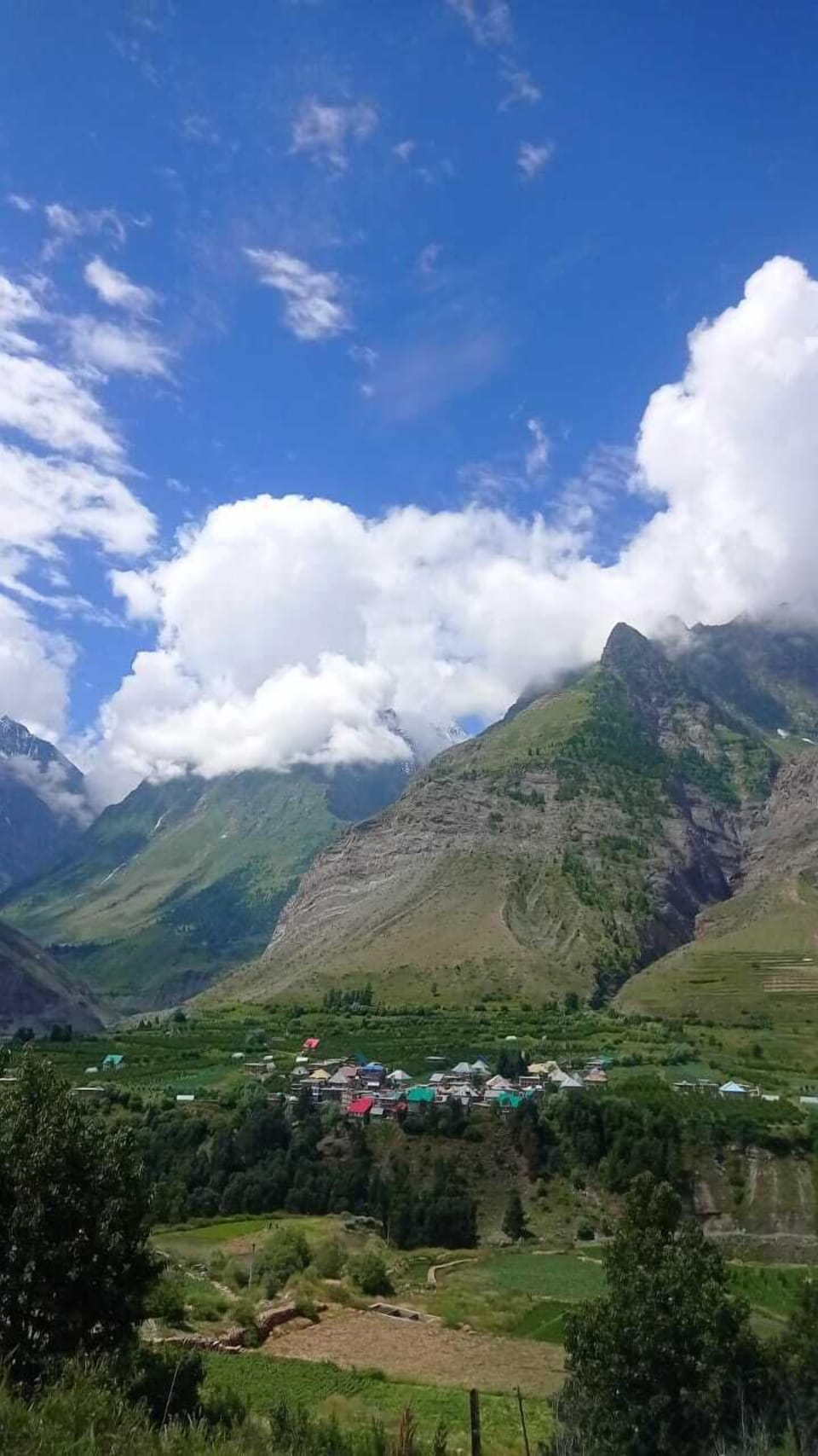 View from property