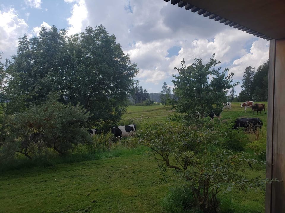 View from property