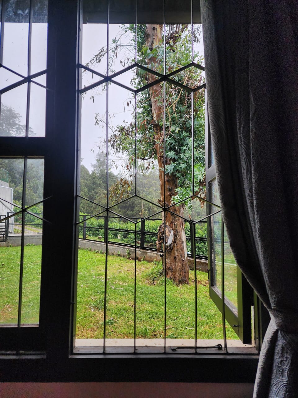 Villa, Mountain View | Garden view