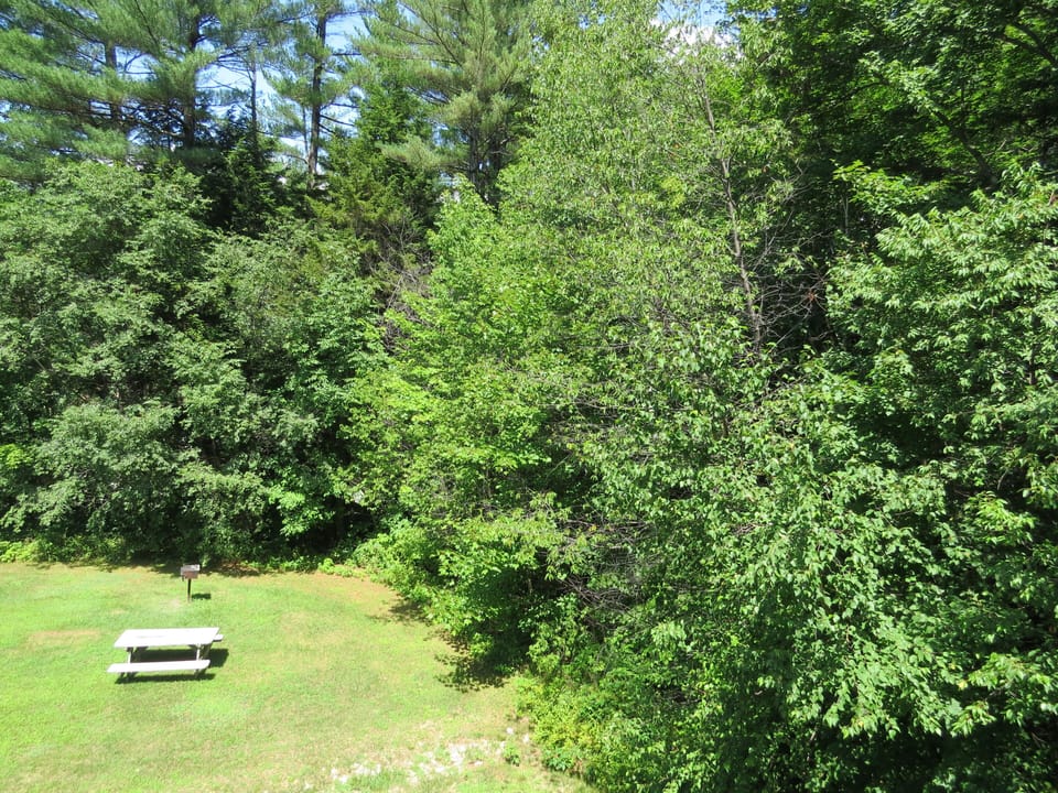 View from lower deck off living room