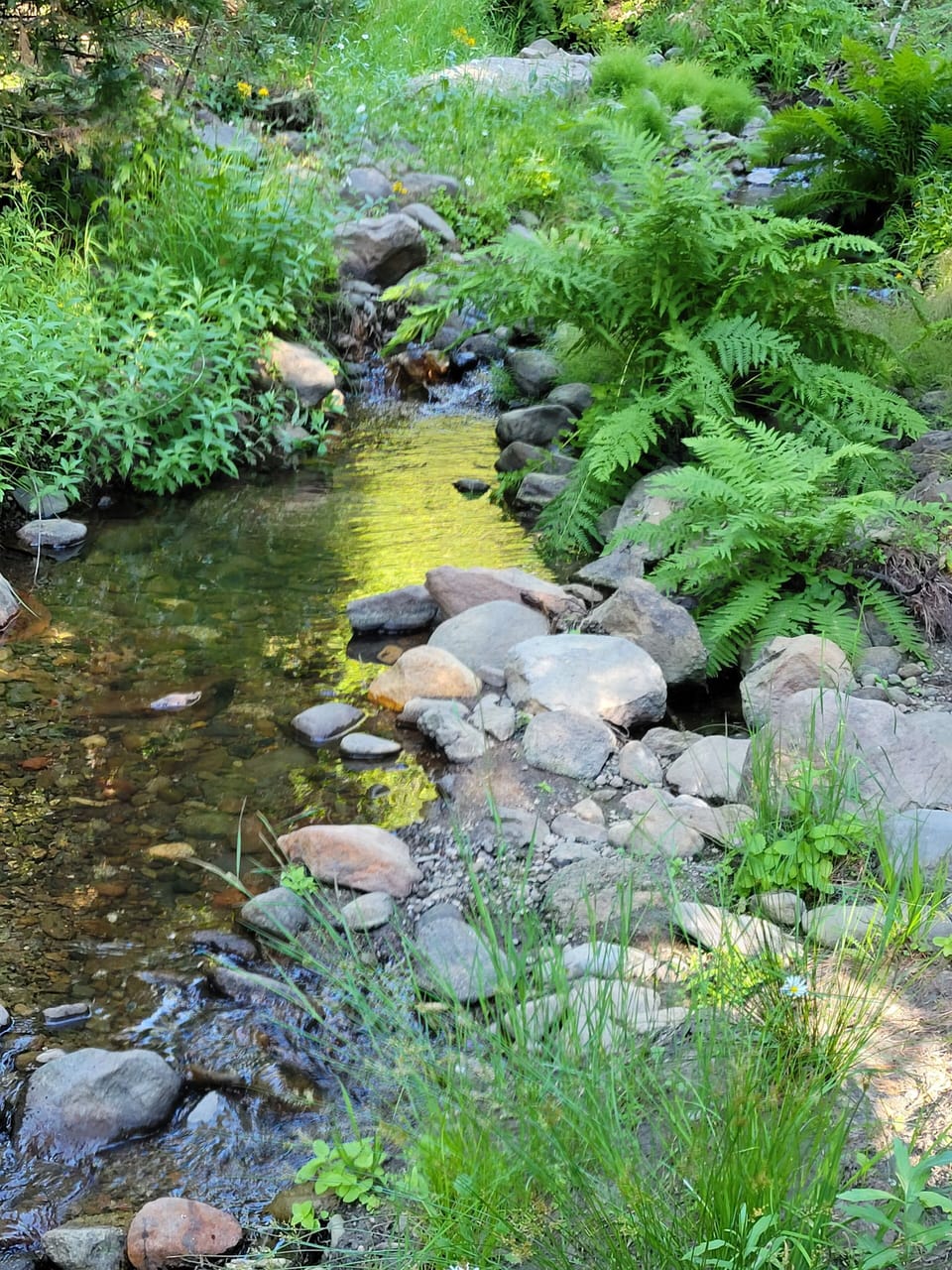 Hiking Trail Near Long Barn
