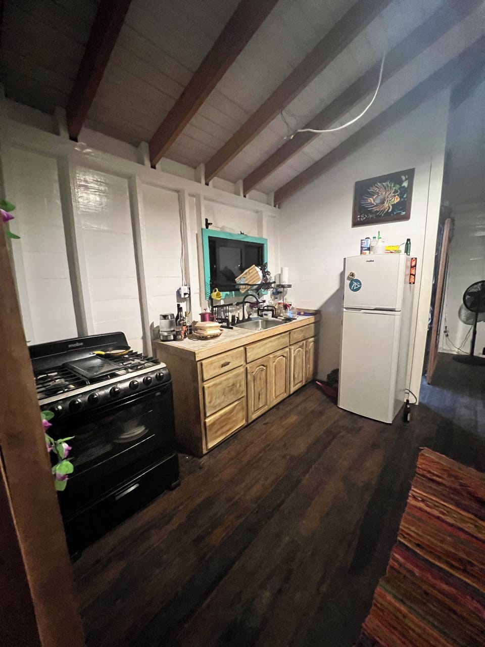 Studio, Sea View | Private kitchen | Full-size fridge, oven, stovetop, coffee/tea maker