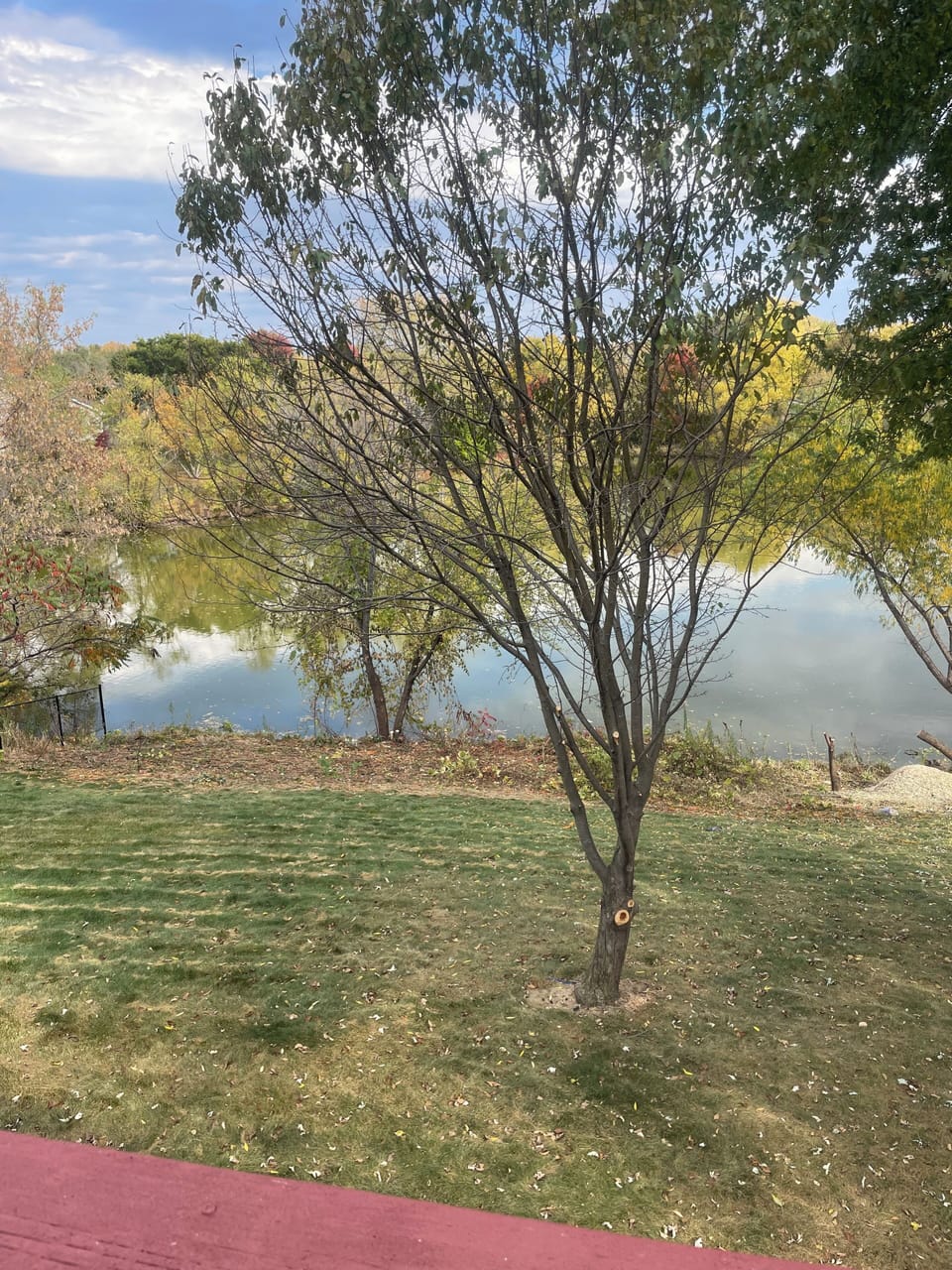Property grounds