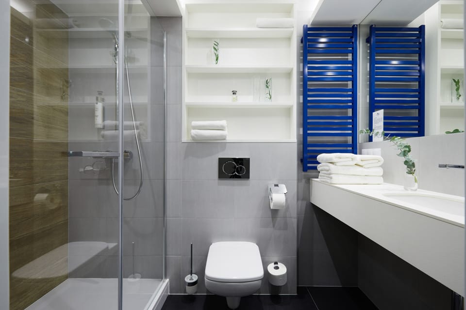 Cleanliness standards