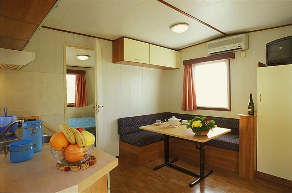 Economy Mobile Home | Living area | Table tennis