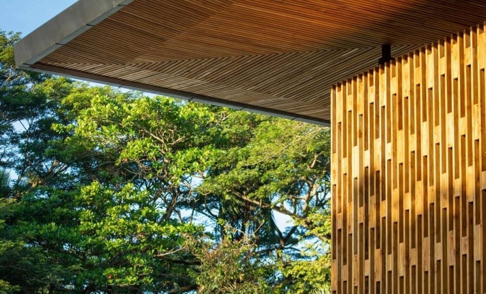 Naia 2_Roof detail