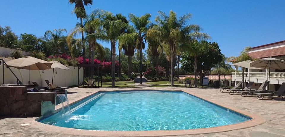 Outdoor pool, open 9:00 AM to 9:00 PM, pool umbrellas, sun loungers