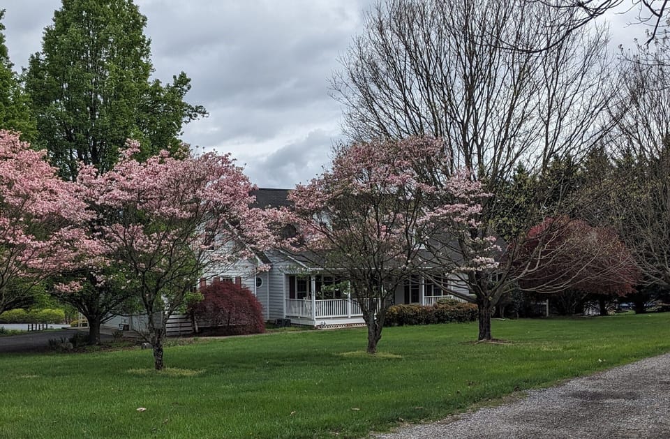 Enjoy a relaxing basement apartment in our quiet country home.