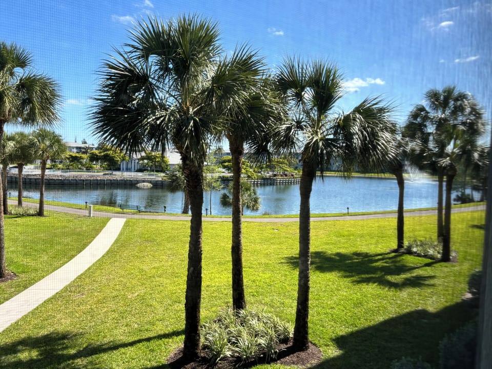 View from property