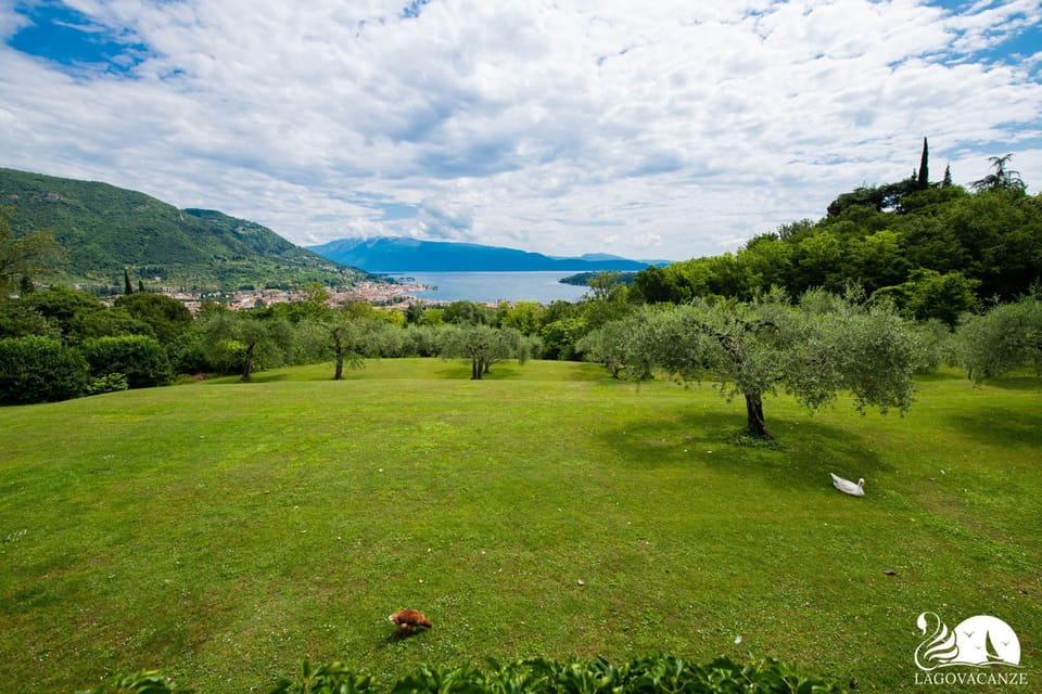 Apartment | 1 bedroom