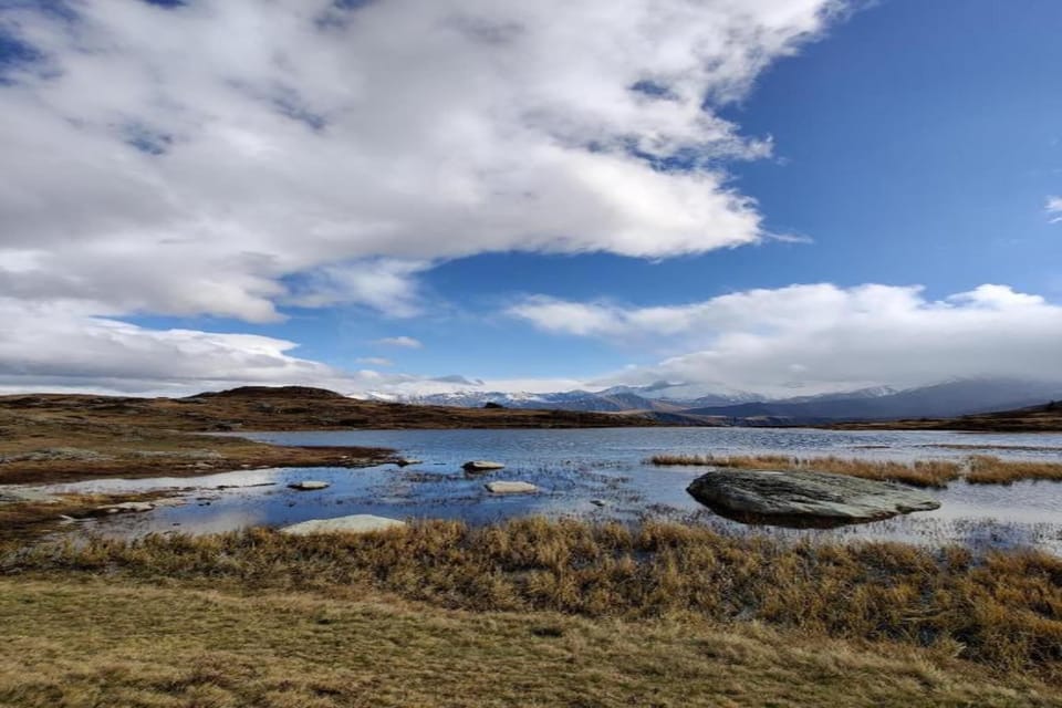 Region [summer] (>5 km)