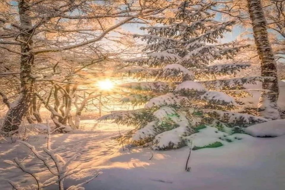 Region [winter] (>5 km)
