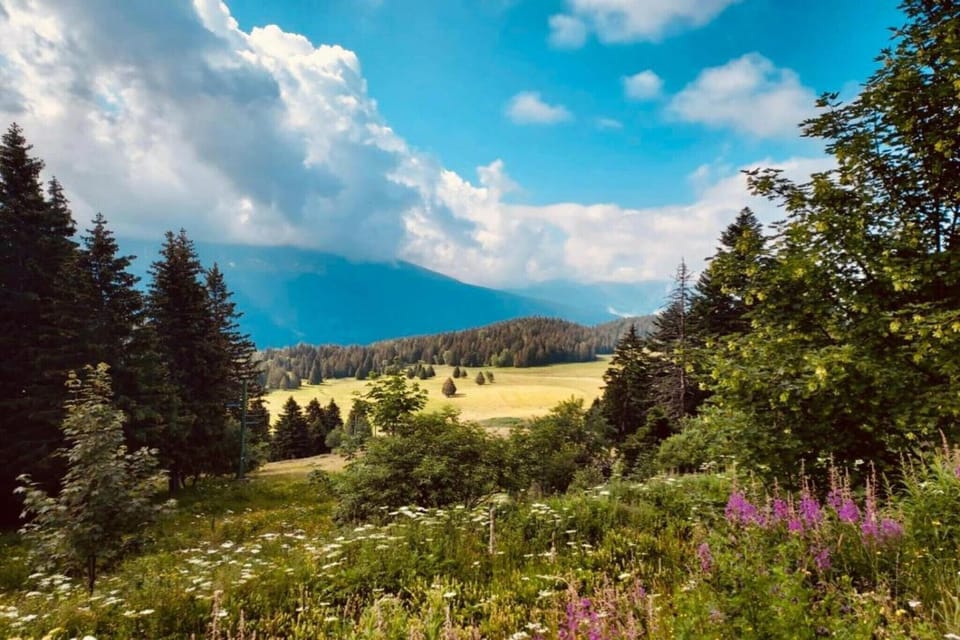 Surroundings [summer] (1-5 km)
