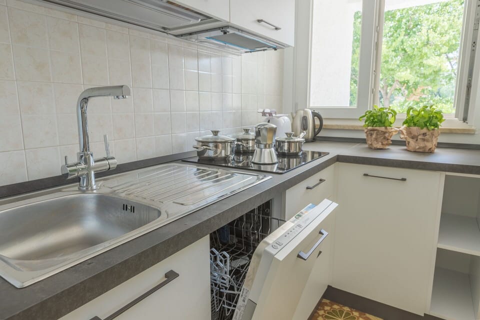 Kitchen, Countertop, Kitchen Appliance, Kitchen Sink, Major Appliance, Plumbing Fixture, Sink, Cabinetry, Tap, Home Appliance