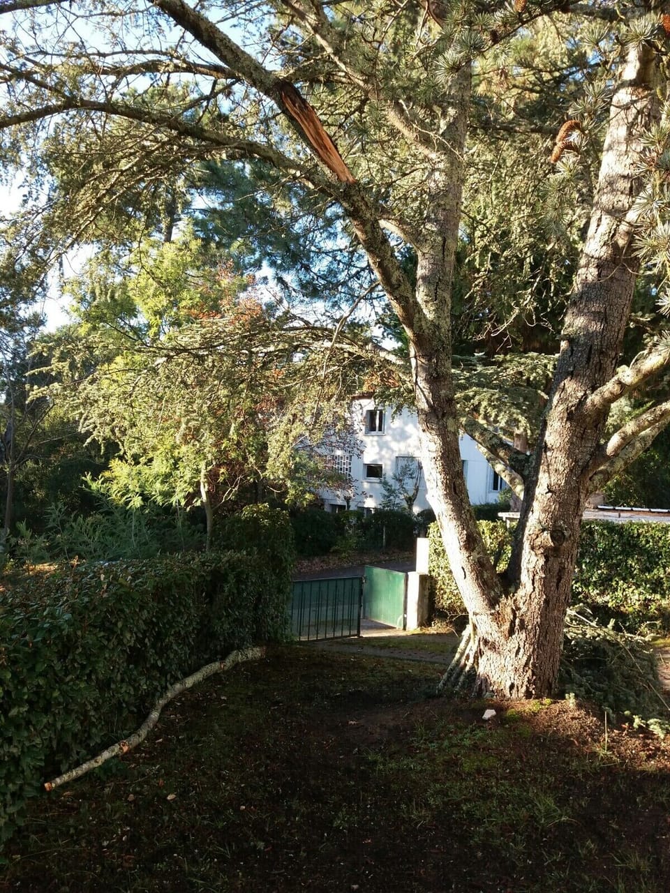 Property grounds