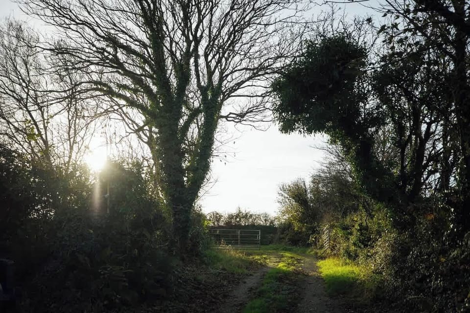 Rear entrance to the property