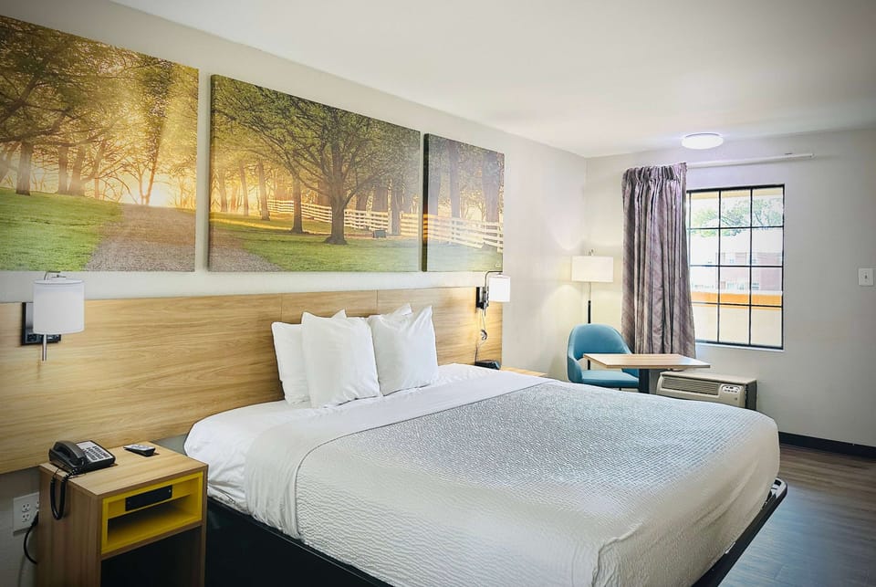 Room, 1 King Bed, Non Smoking | Desk, laptop workspace, blackout drapes, iron/ironing board
