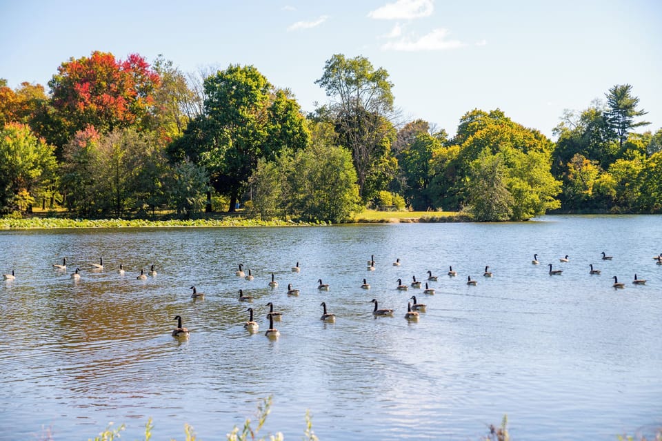 Local Lake Only A 5 Minute Walk Away!
