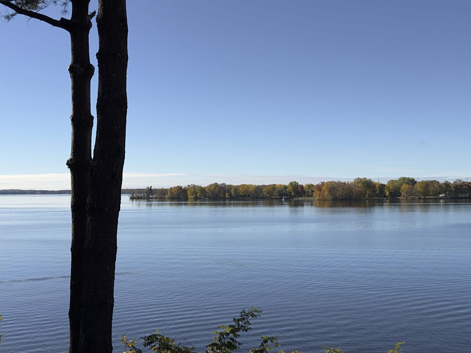 View from property