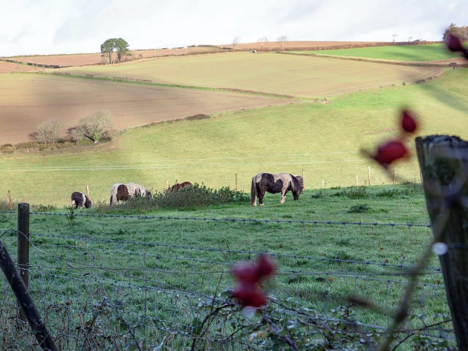 Surrounding area | Hayloft - Summercourt Cottages, Looe
