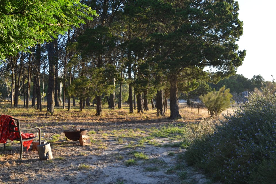 Views of the rear of our property.