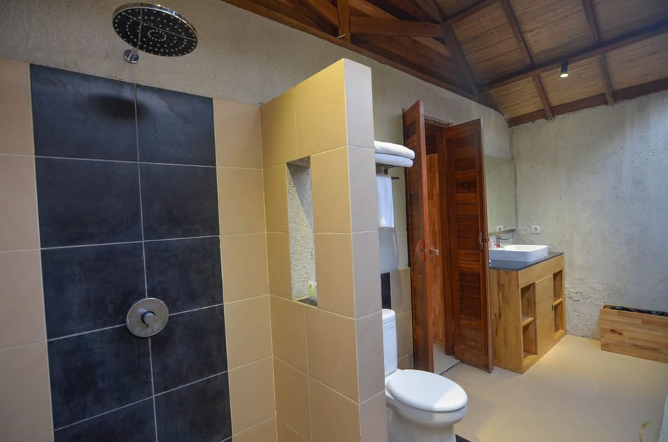 Shower, free toiletries, hair dryer (on request), bathrobes